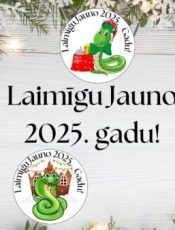 Laimīgu Jauno 2025. gadu!